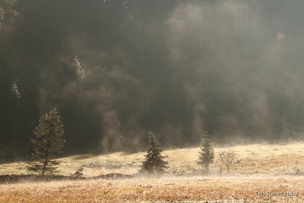2010-10-09_06_Ahornboden_4241.JPG