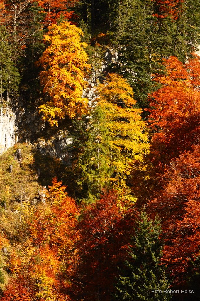 2010-10-09_09_Ahornboden_4342.JPG
