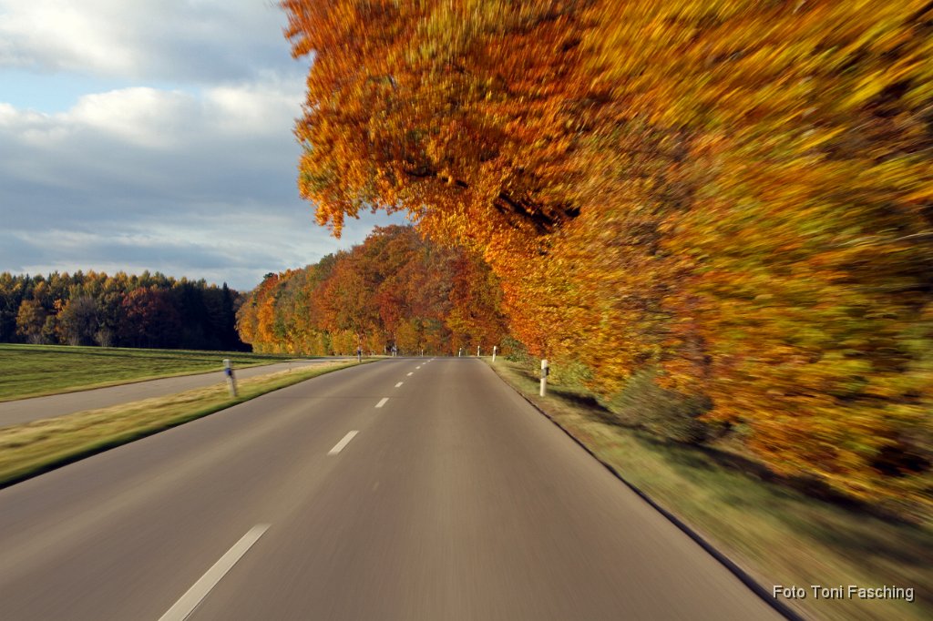 2010-10-26_10_Oktoberstimmung.JPG