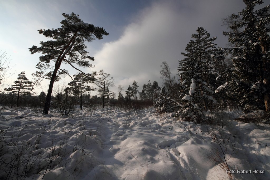 2010-12-31_05_Haspelmoor_7648.JPG