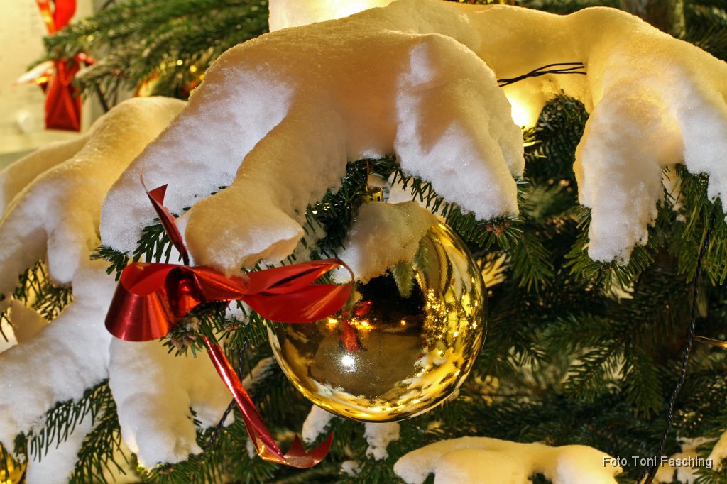 2010-11-02_07_Winterbilder.JPG
