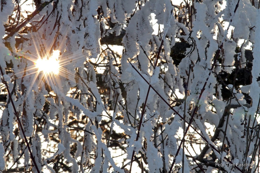 2011-01-30-003_Winter-Wagenhofen_TF.JPG
