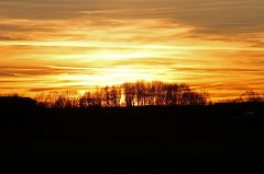 2011-02-06_003_Sonnenuntergang_TF