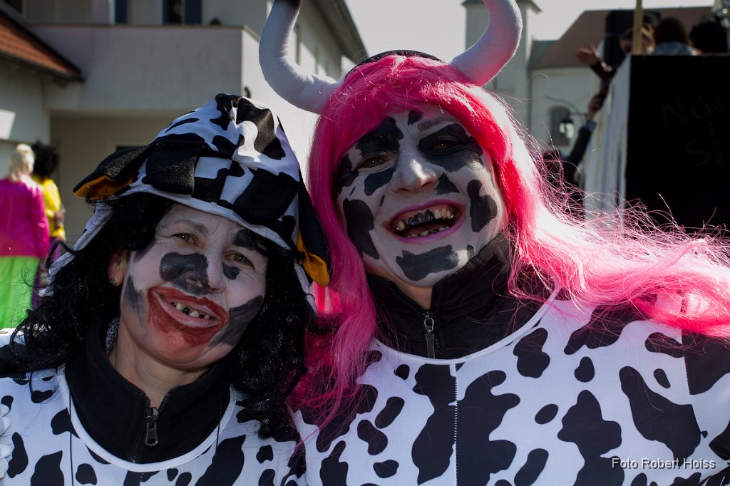 2011-03-08_046_Faschingszug_0348_RH.jpg