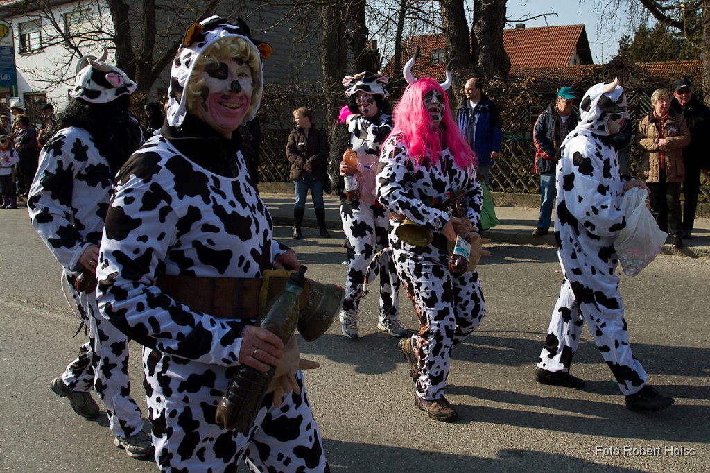 2011-03-08_096_Faschingszug_0441_RH.jpg
