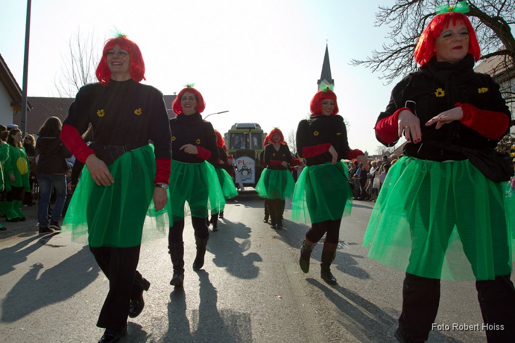 2011-03-08_127_Faschingszug_0496_RH.jpg