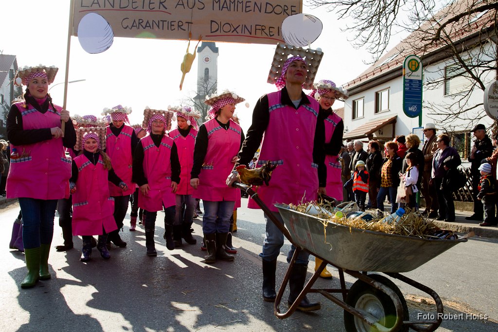 2011-03-08_131_Faschingszug_0505_RH.jpg