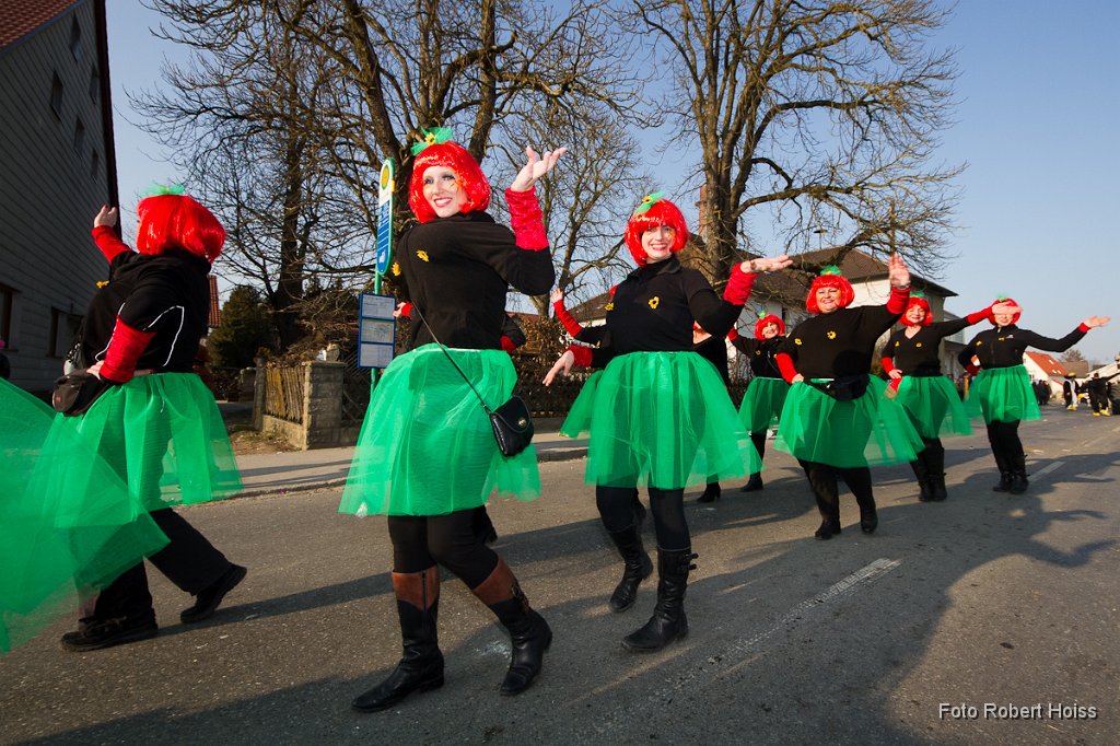 2011-03-08_215_Faschingszug_0686_RH.jpg