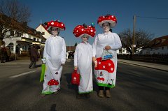 2011-03-08_058_Faschingszug_0370_RH