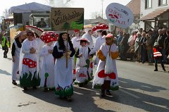 2011-03-08_108_Faschingszug_0463_RH