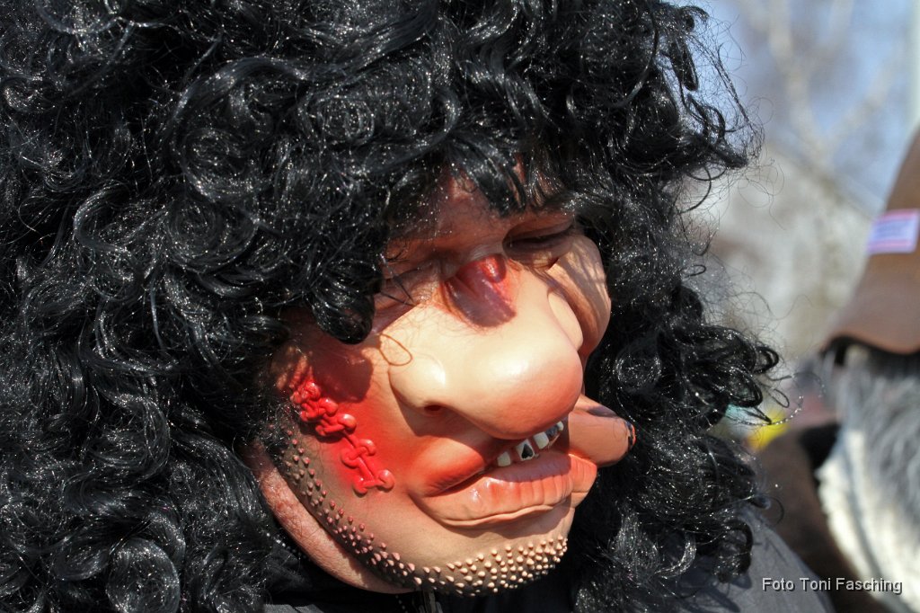 2011-03-08_003_Faschingszug_TF.JPG