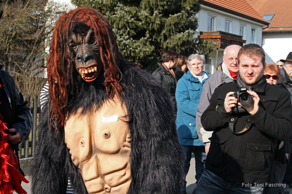 2011-03-08_012_Faschingszug_TF.JPG