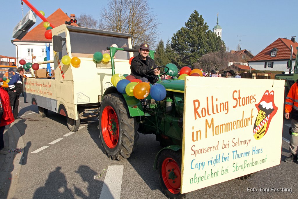 2011-03-08_024_Faschingszug_TF.JPG