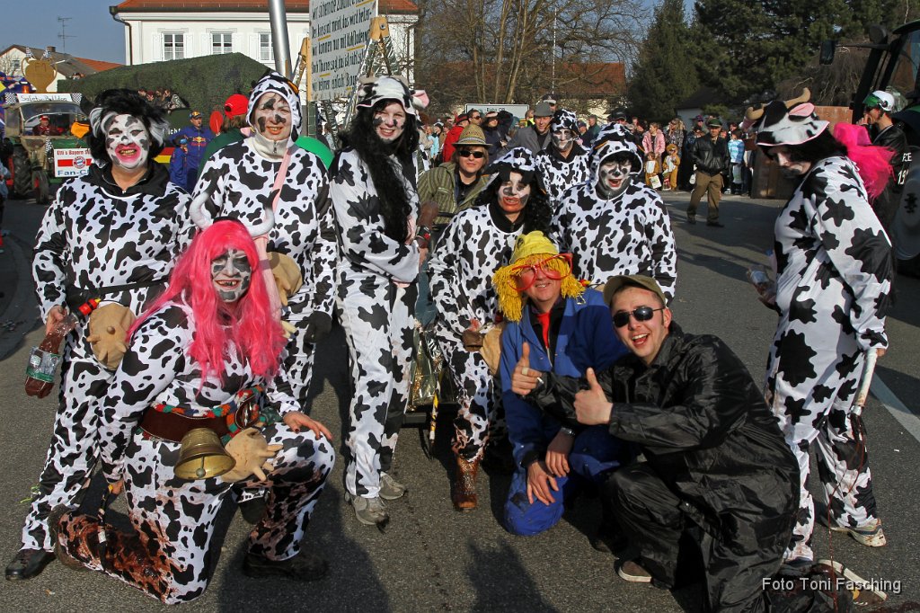 2011-03-08_033_Faschingszug_TF.JPG