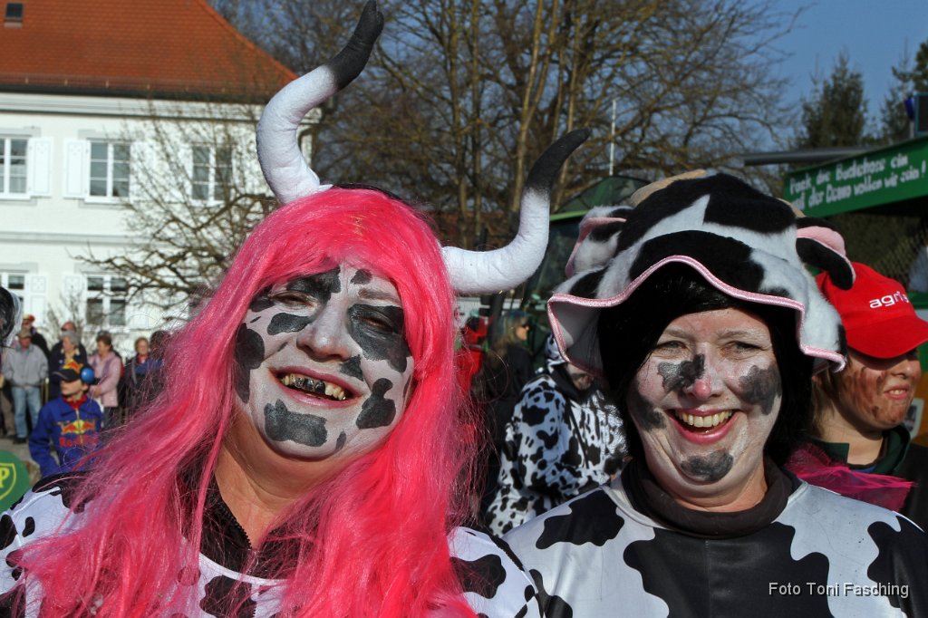 2011-03-08_034_Faschingszug_TF.JPG