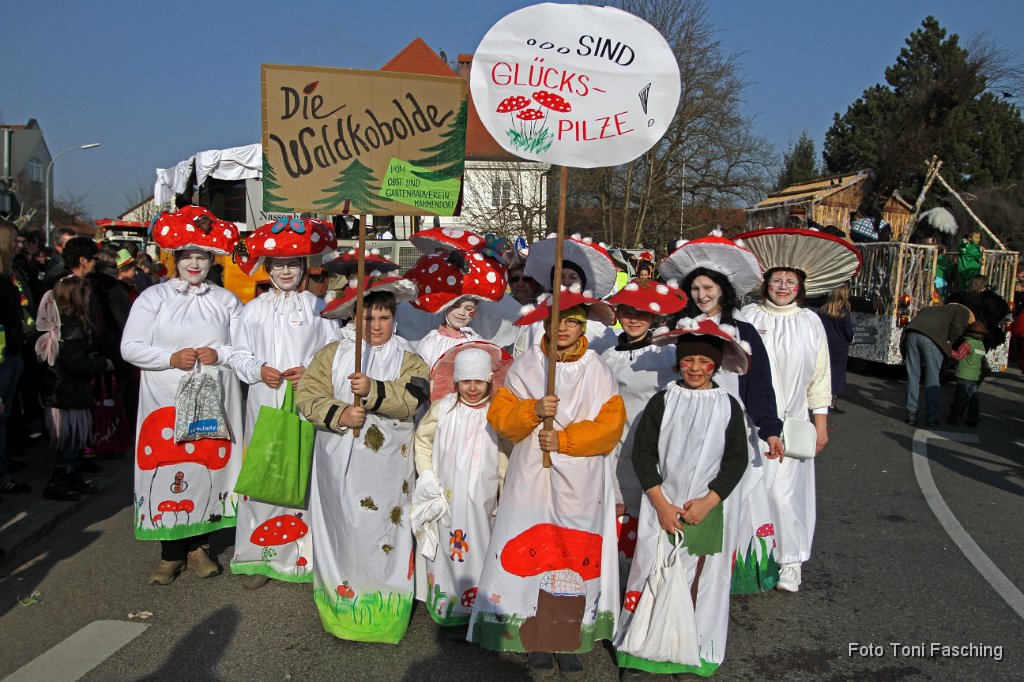 2011-03-08_039_Faschingszug_TF.JPG