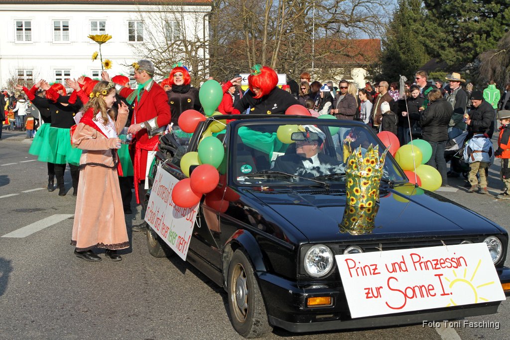 2011-03-08_047_Faschingszug_TF.JPG