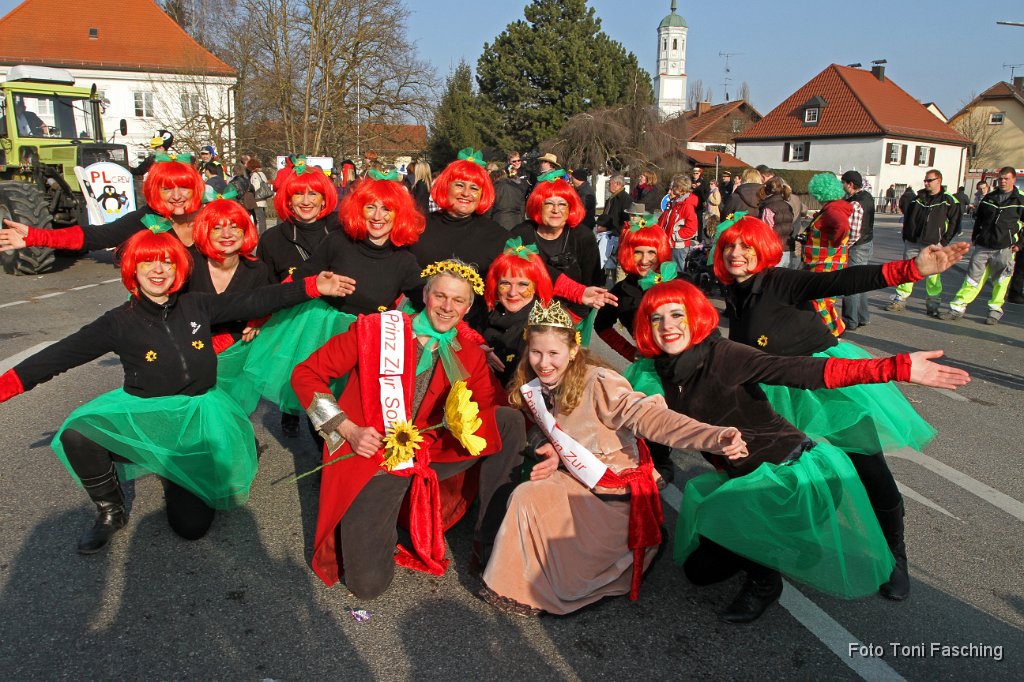 2011-03-08_048_Faschingszug_TF.JPG