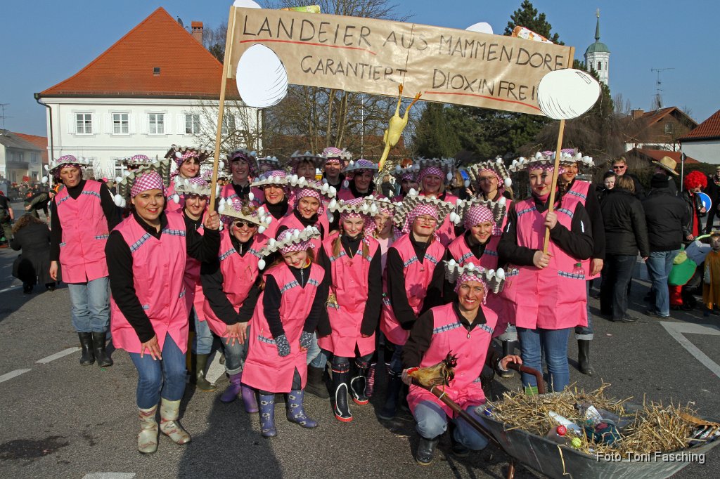 2011-03-08_050_Faschingszug_TF.JPG