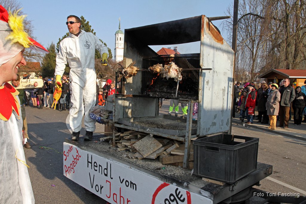 2011-03-08_055_Faschingszug_TF.JPG