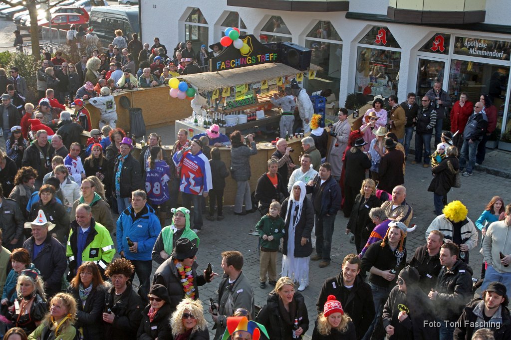 2011-03-08_066_Faschingszug_TF.JPG