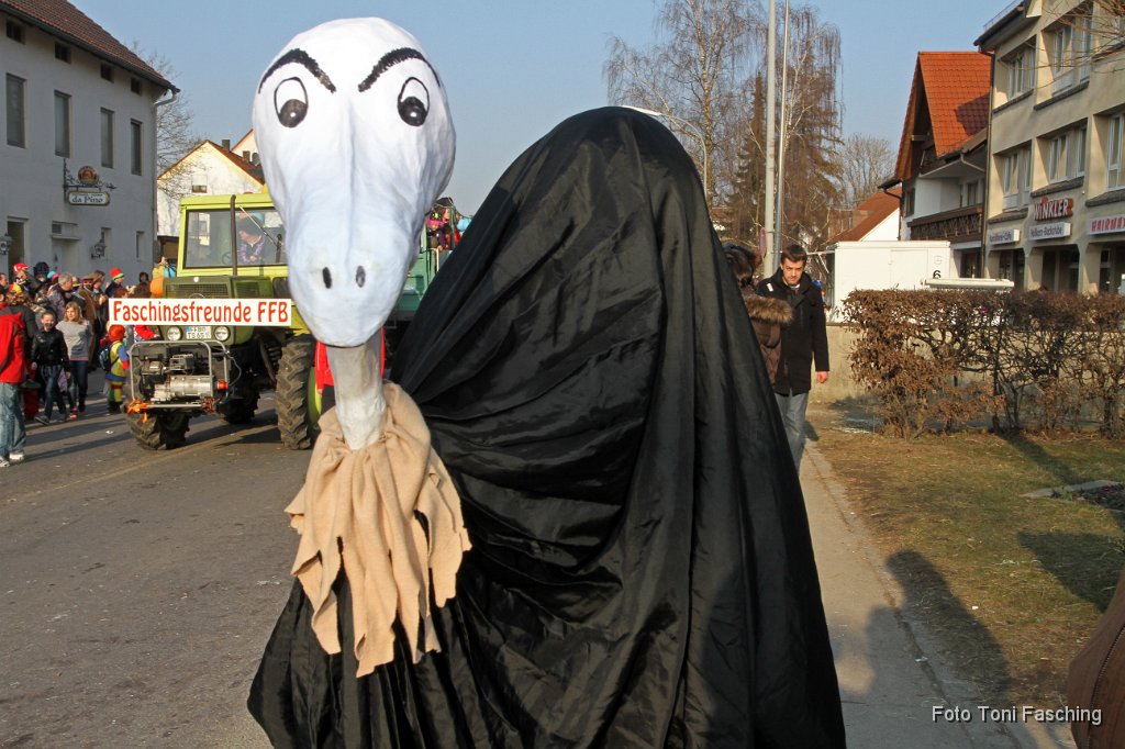 2011-03-08_078_Faschingszug_TF.JPG