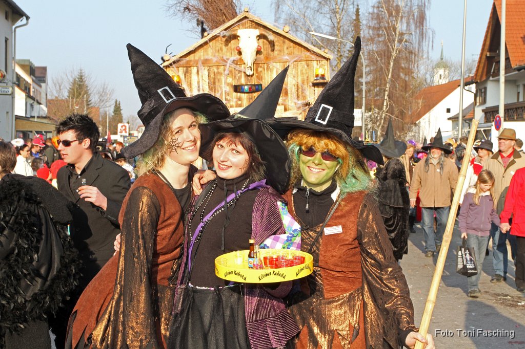 2011-03-08_084_Faschingszug_TF.JPG