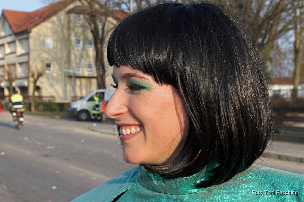 2011-03-08_089_Faschingszug_TF.JPG