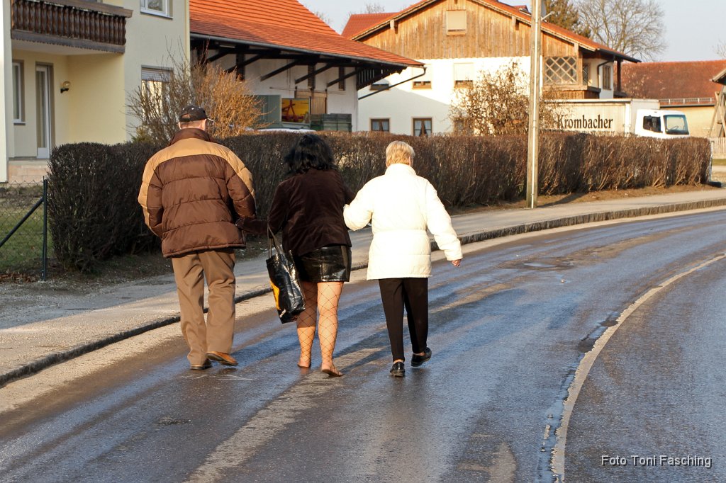 2011-03-08_090_Faschingszug_TF.JPG