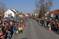 2011-03-08_006_Faschingszug_TF