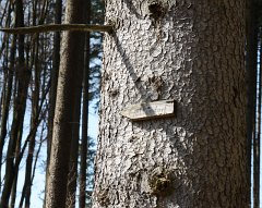 2011-03-12_36_Wanderrung_Tuerkenfeld-St.Ottilien_KB
