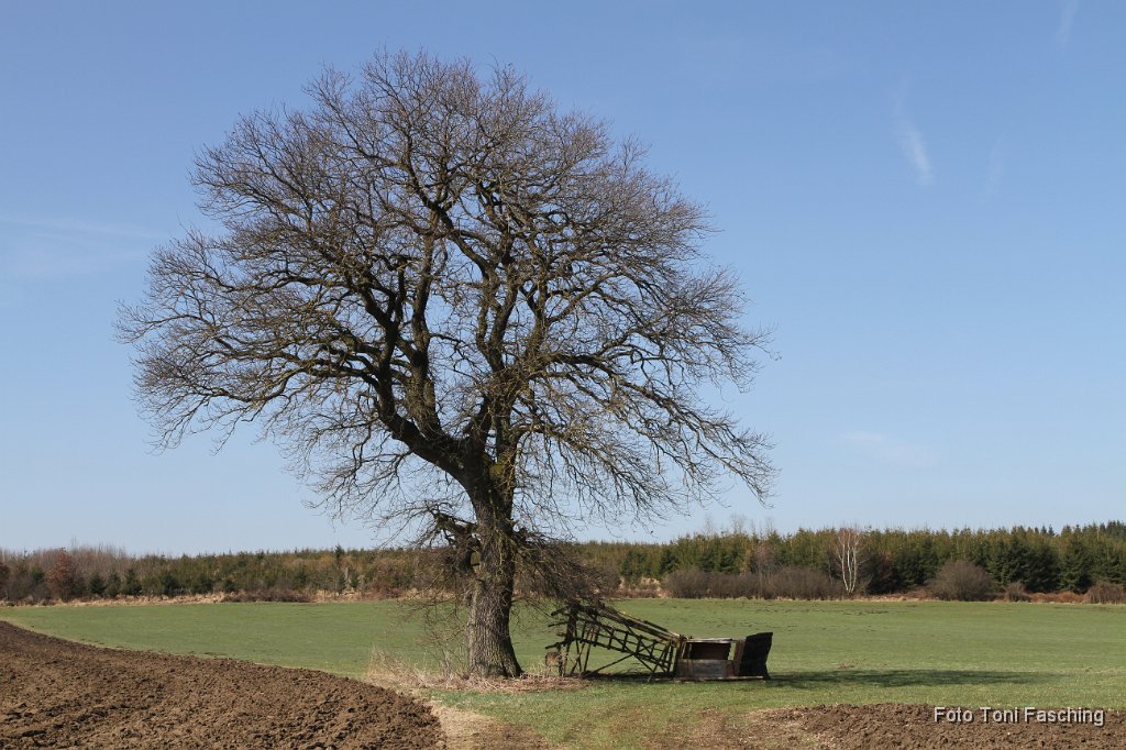 2011-03-20_01_Jaegerstand.JPG