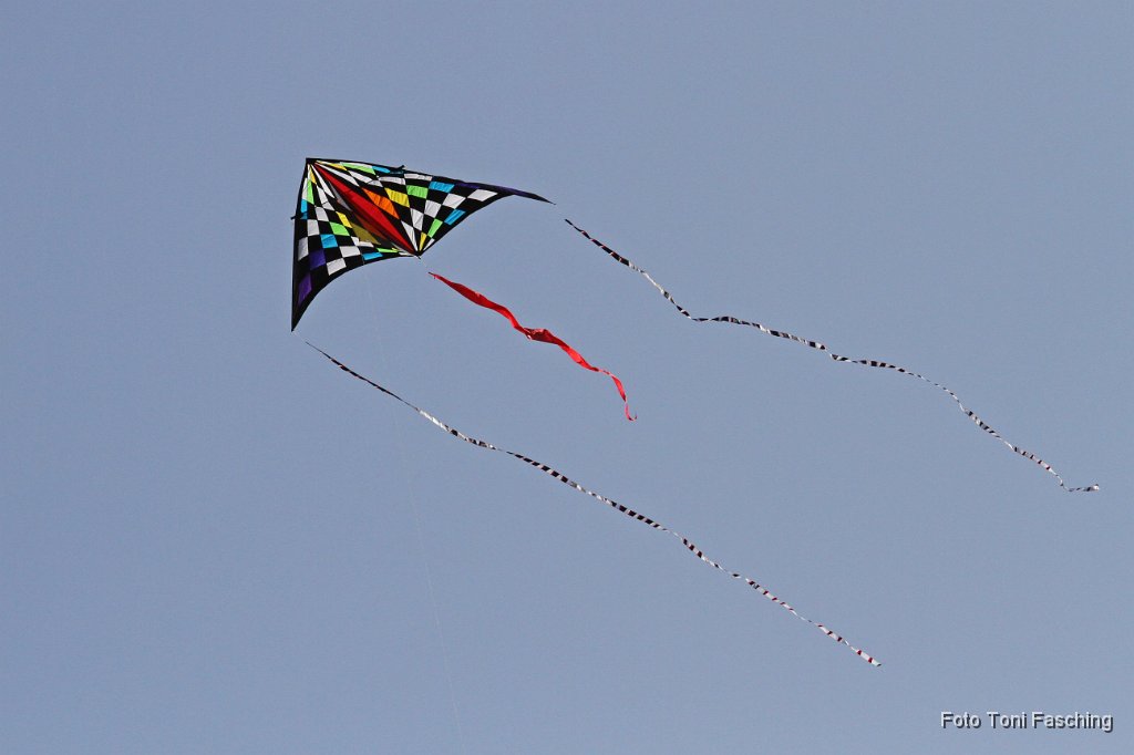2011-04-10_14_Drachen.JPG
