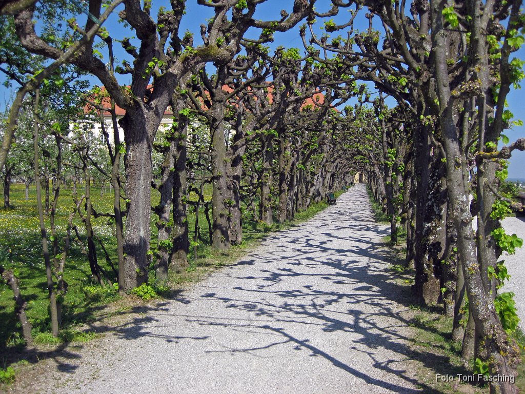 2011-04-22_07_Fahrradtour_nach_Dachau_68-km.JPG