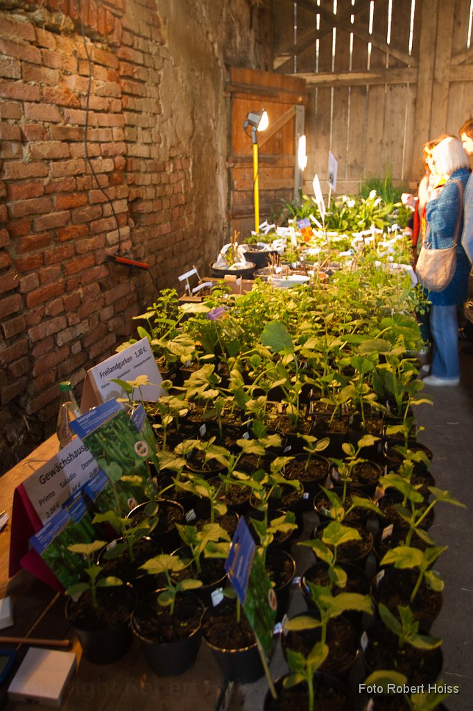 2011-04-30_005_Pflanzenflohmarkt_5810_RH.jpg
