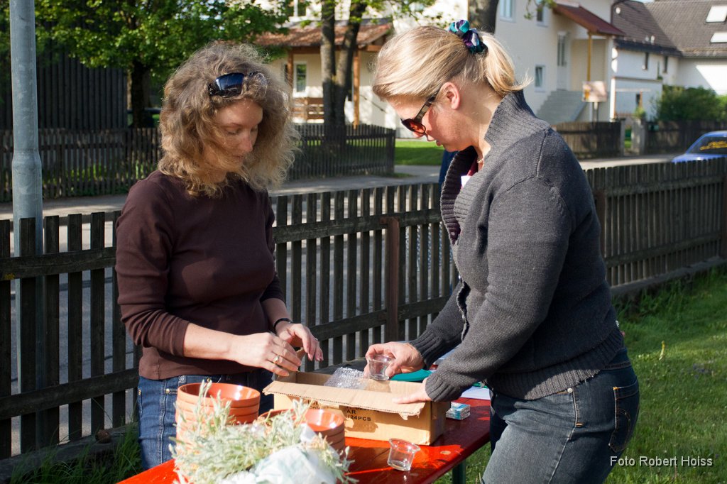 2011-04-30_011_Pflanzenflohmarkt_5821_RH.jpg