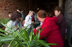 2011-04-30_018_Pflanzenflohmarkt_5831_RH