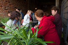 2011-04-30_018_Pflanzenflohmarkt_5831_RH