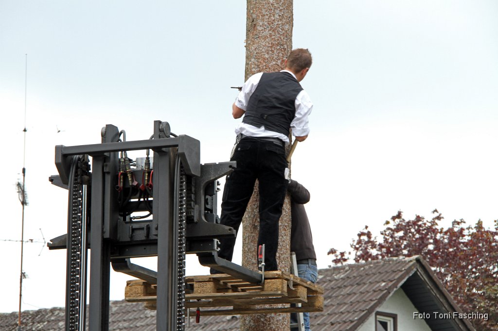 2011-05-01_01_Maibaum-aufstellen_Nassenhausen.JPG