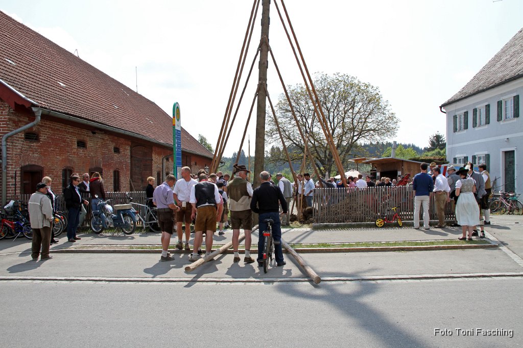 2011-05-01_06_Maibaum-aufstellen_Duenzelbach.JPG