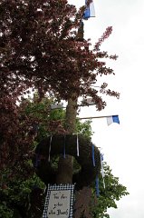 2011-05-01_04_Maibaum-aufstellen_Luttenwang