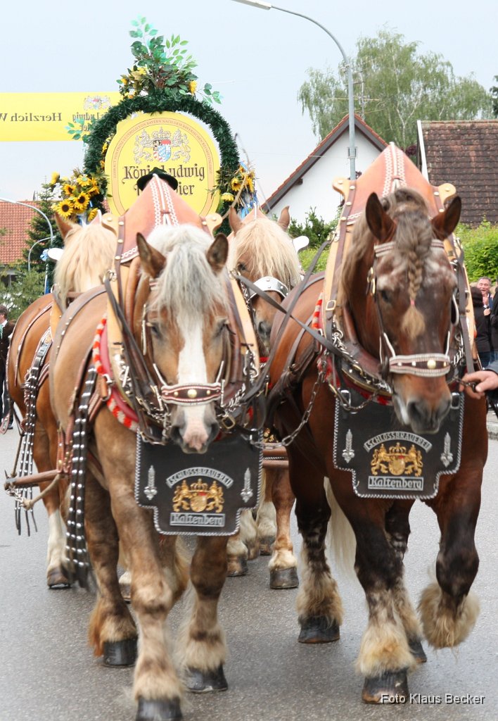 2011-05-27_078_Volksfesteinzug_KB.JPG