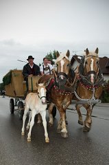 2011-05-27_089_Volksfesteinzug_MP