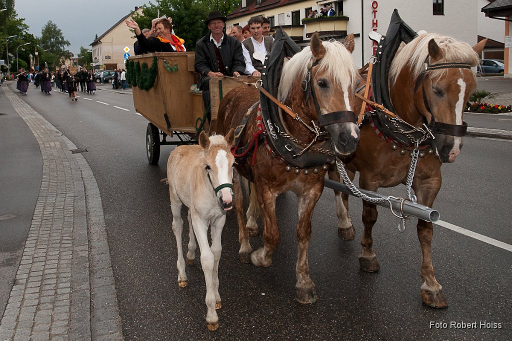 2011-05-27_029_Volksfesteinzug_8664_RH.jpg