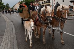 2011-05-27_029_Volksfesteinzug_8664_RH