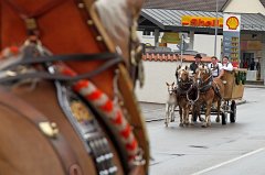 2011-05-27_015_Volksfesteinzug_TF