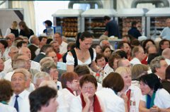 2011-05-29_025_130-Jahre-Gesangverein-Mdf-62-Kreissingen_WP