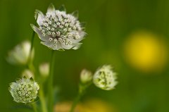 2011-06-30_010_Impressionen_8992_RH