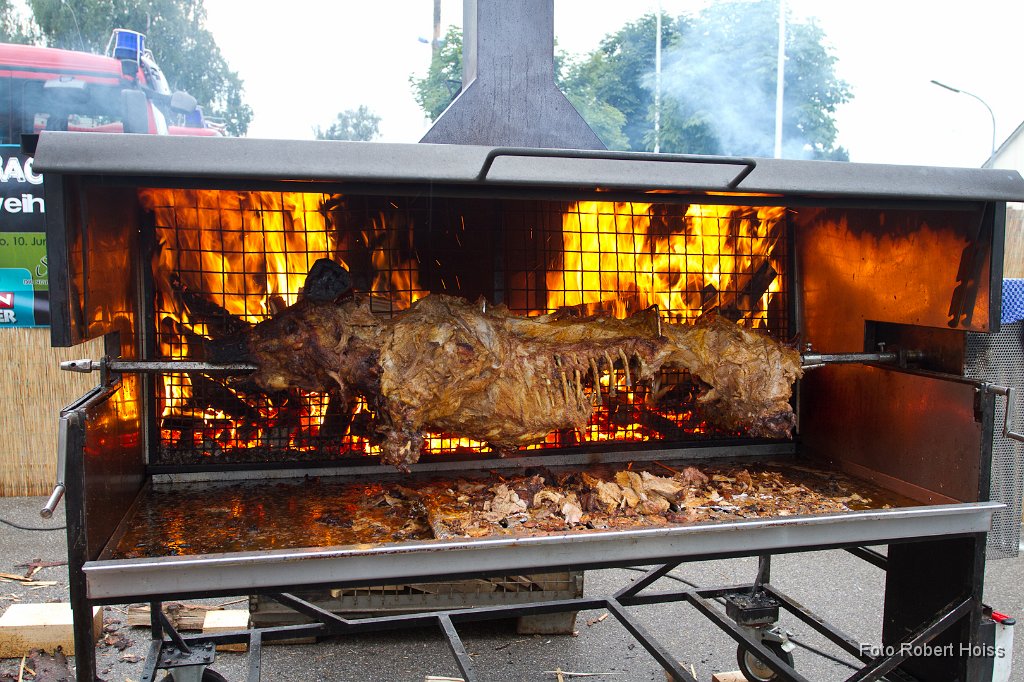 2011-07-09_FW_Saugrillen_0739_RH.jpg