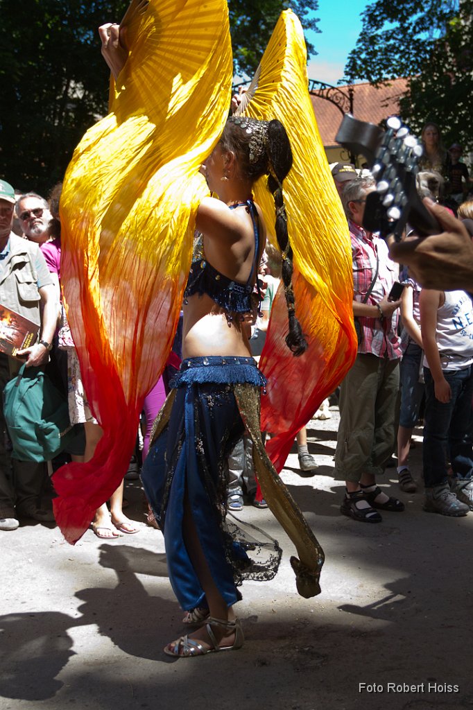 2011-07-16_Kaltenberger_Ritterturnier_1265_RH.jpg